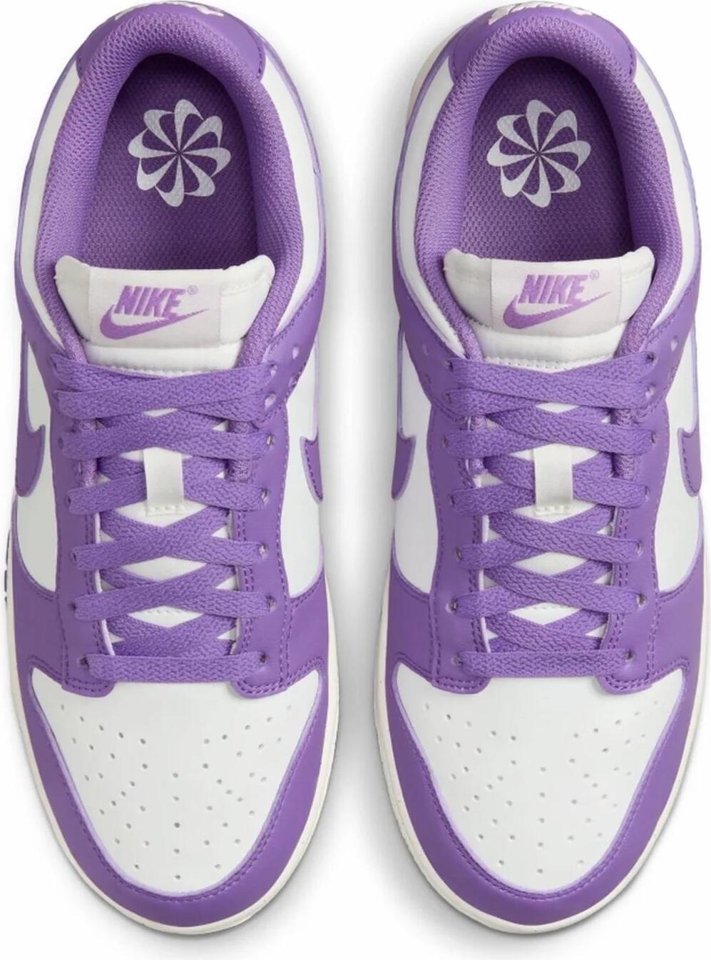 Кросівки жіночі Nike Dunk Low Next Nature (DD1873-108) — фото 28