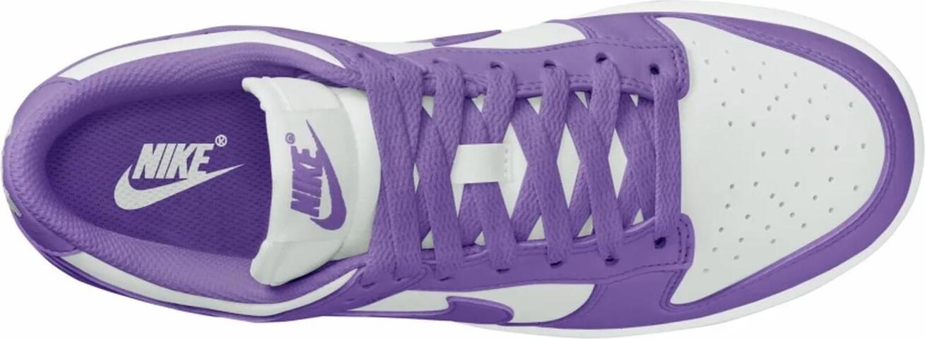 Кросівки жіночі Nike Dunk Low Next Nature (DD1873-108) — фото 3