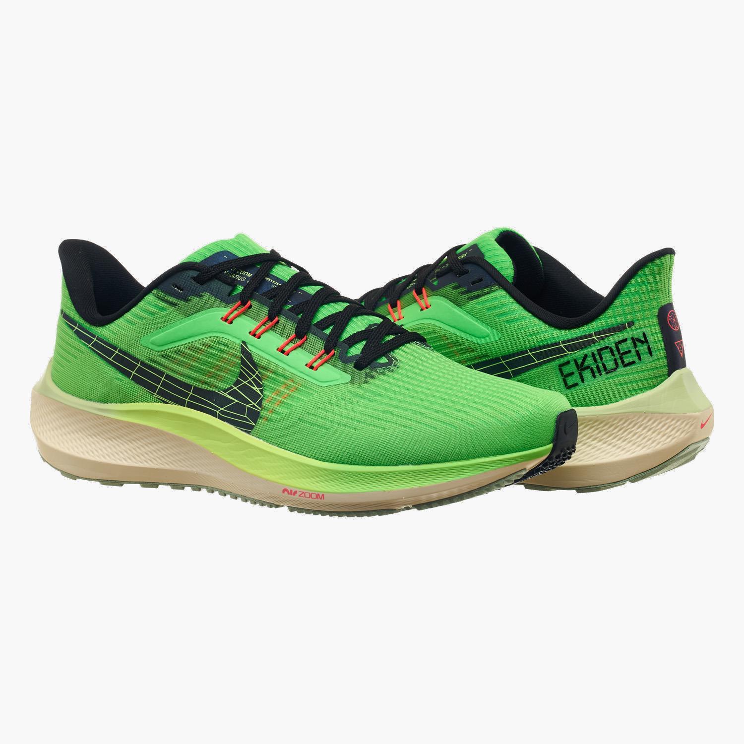 Кросівки для бігу чоловічі Nike Pegasus 39 (DZ4776-343) — фото 1