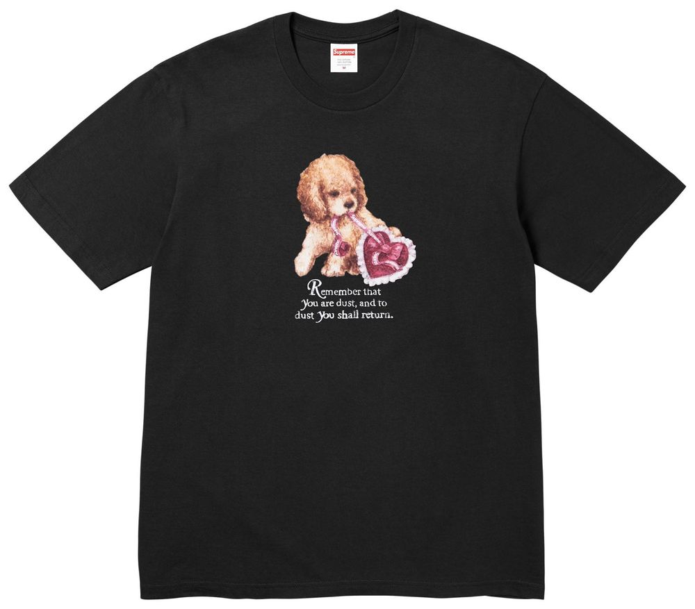 Футболка Supreme Dust Tee 'Black' — фото 1