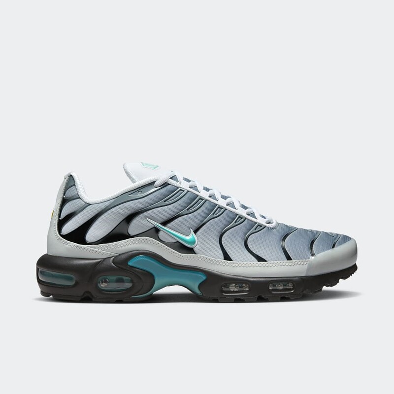 Кросівки чоловічі Nike Air Max Plus One Block Down (FZ3308-001) — фото 1