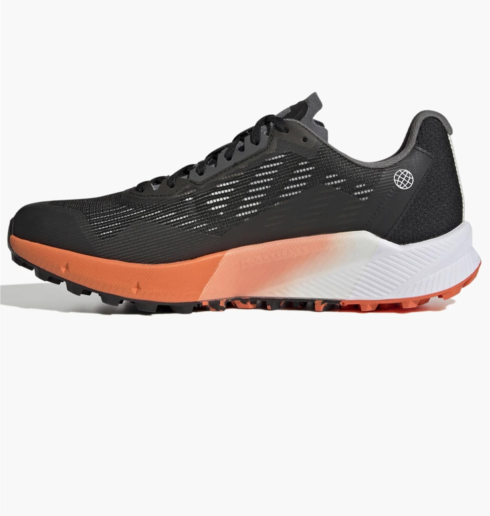 Кросівки чоловічі Adidas Terrex Agravic Flow Gore-Tex (HR1110) — фото 1