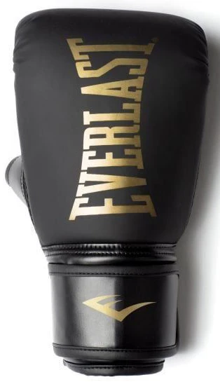 Боксерські рукавиці Everlast Cardio Elite Bag Gloves (P00003320) — фото 1