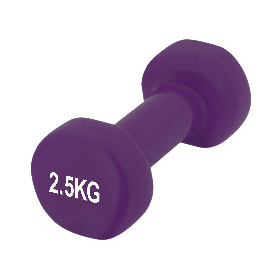 Гантель вінілова PowerPlay 4125 Achilles 2.5 кг. Фіолетова (1шт.) — фото 1