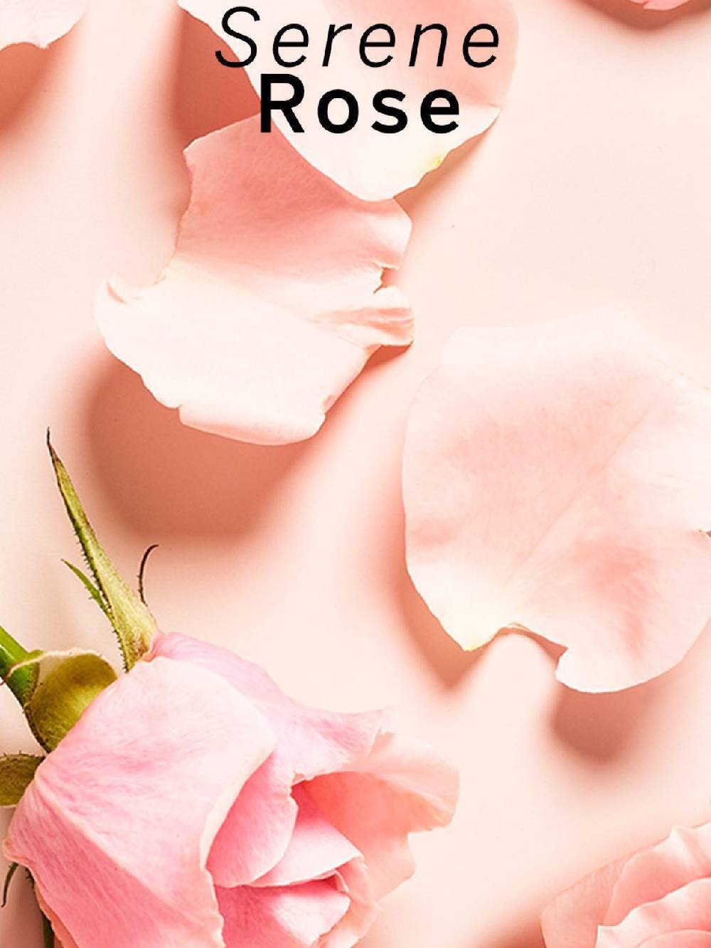 Серветки для інтимної гігієни Coconut Milk & Rose Victoria's Secret 1159842654 (Бежевий One size) — фото 8