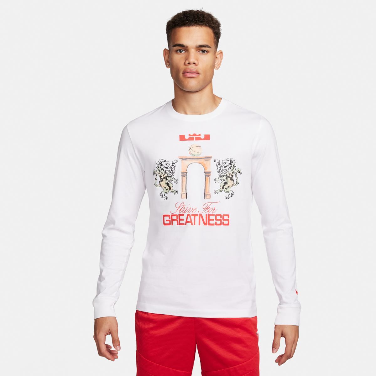 Чоловіча футболка З Довгим Рукавом Nike Lebron James M Tee Ls Sp24 FQ4908-100, M — фото 2