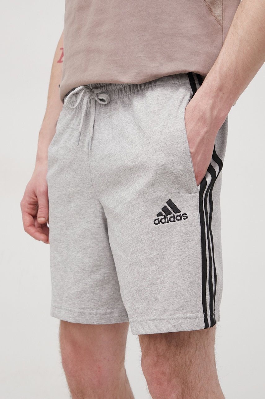 Шорти чоловічі adidas Essentials GK9990 — фото 1