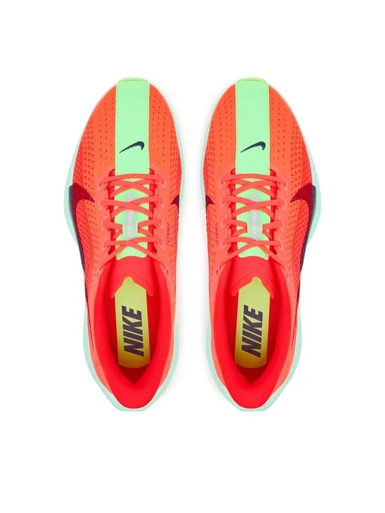 Чоловічі кросівки NIKE PEGASUS PLUS FQ7262-600 — фото 5