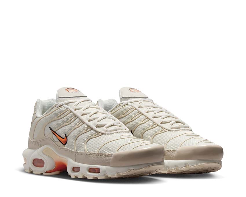 Кросівки чоловічі Nike Air Max Plus DM0032-019 — фото 4