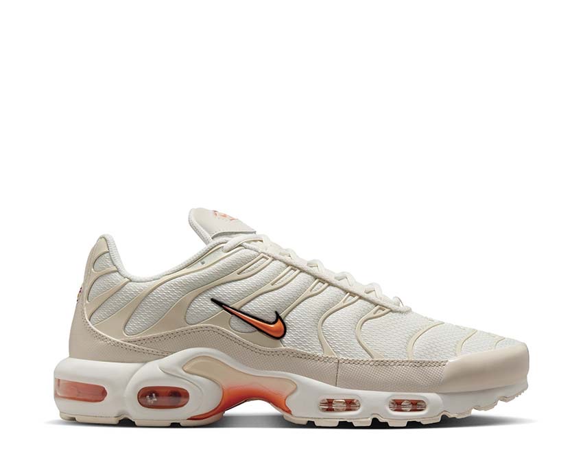 Кросівки чоловічі Nike Air Max Plus DM0032-019 — фото 1