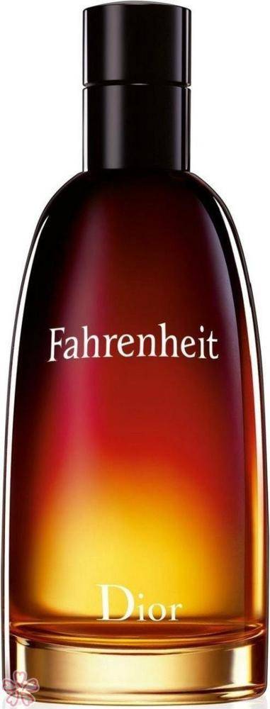Туалетна вода для чоловіків Dior Fahrenheit 100 мл — фото 1
