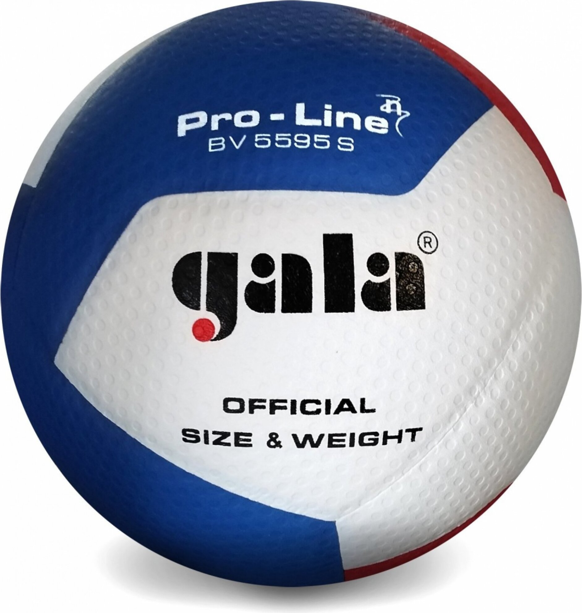 М'яч волейбольний Gala Pro-Line 12 FIVB BV5595S — фото 3