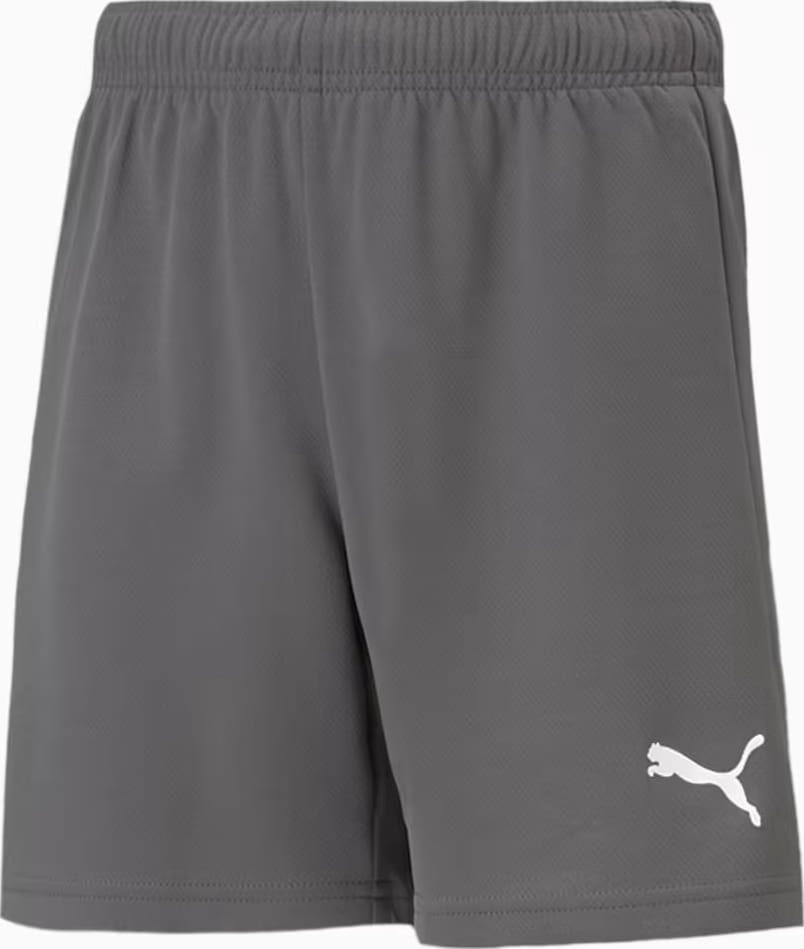 Шорти Puma teamRISE Short Jr сірий дитячий 116 см (704943-13) — фото 1