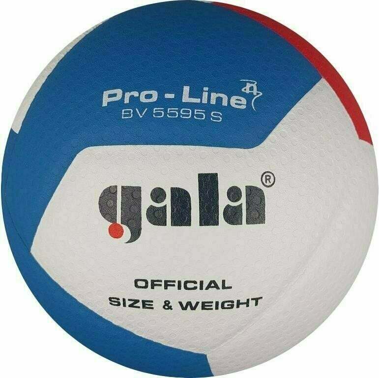 М'яч волейбольний Gala Pro-Line 12 FIVB BV5595S — фото 4