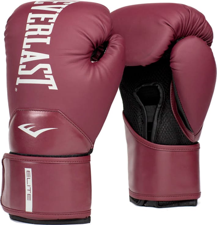Боксерські рукавиці Everlast ELITE 2 BOXING GLOVES бордовий 10 унцій (P00003300) — фото 1