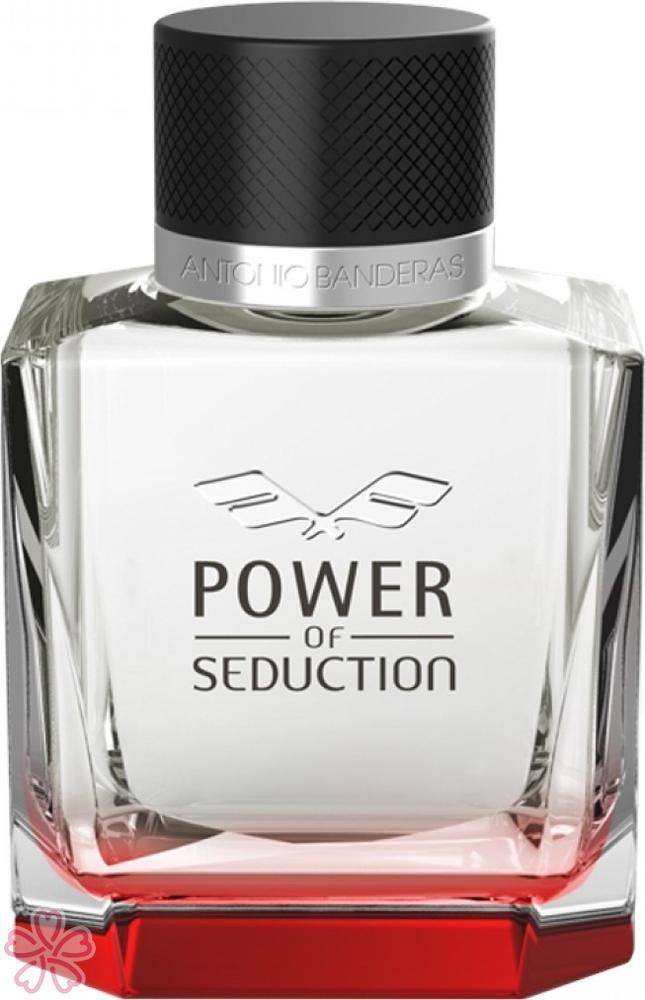 Туалетная вода для мужчин Antonio Banderas Power of Seduction 50 мл — фото 3