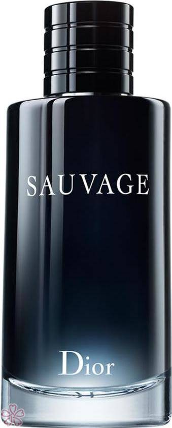 Туалетна вода для чоловіків Dior Sauvage 200 мл — фото 1