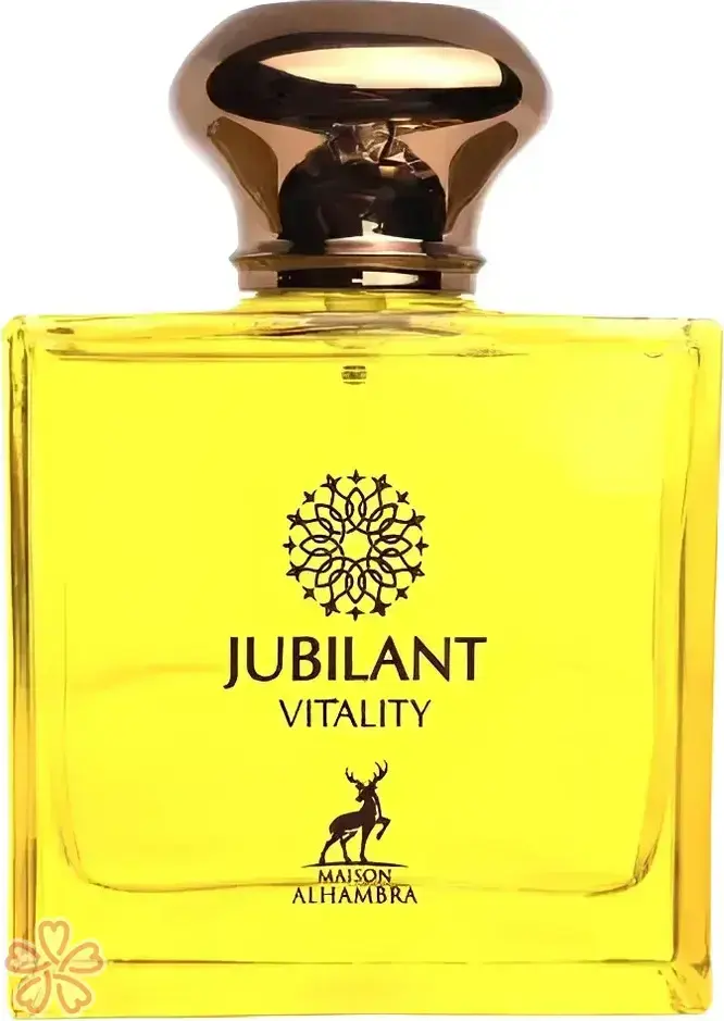 Парфюмированная вода для мужчин Alhambra Jubilant Vitality 100 мл — фото 3