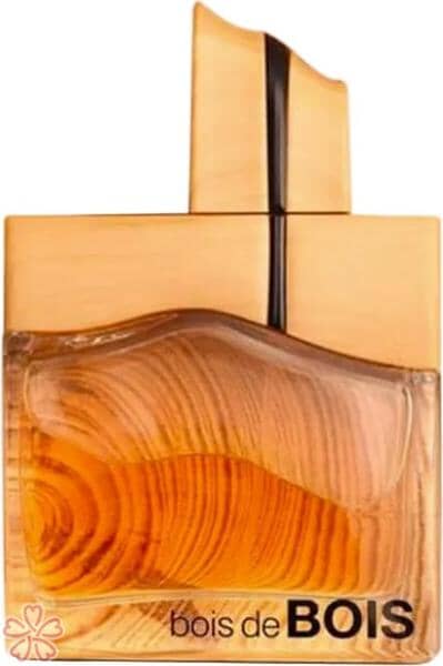 Парфумована вода для жінок Fragrance World Bois De Bois 100 мл — фото 1