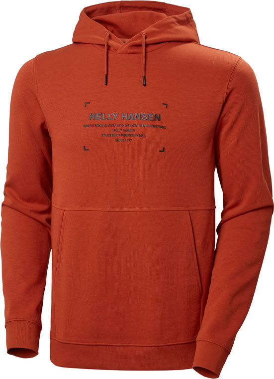 Кофта чоловіча Helly Hansen Move Sweat Hoodie (53701-308) — фото 1