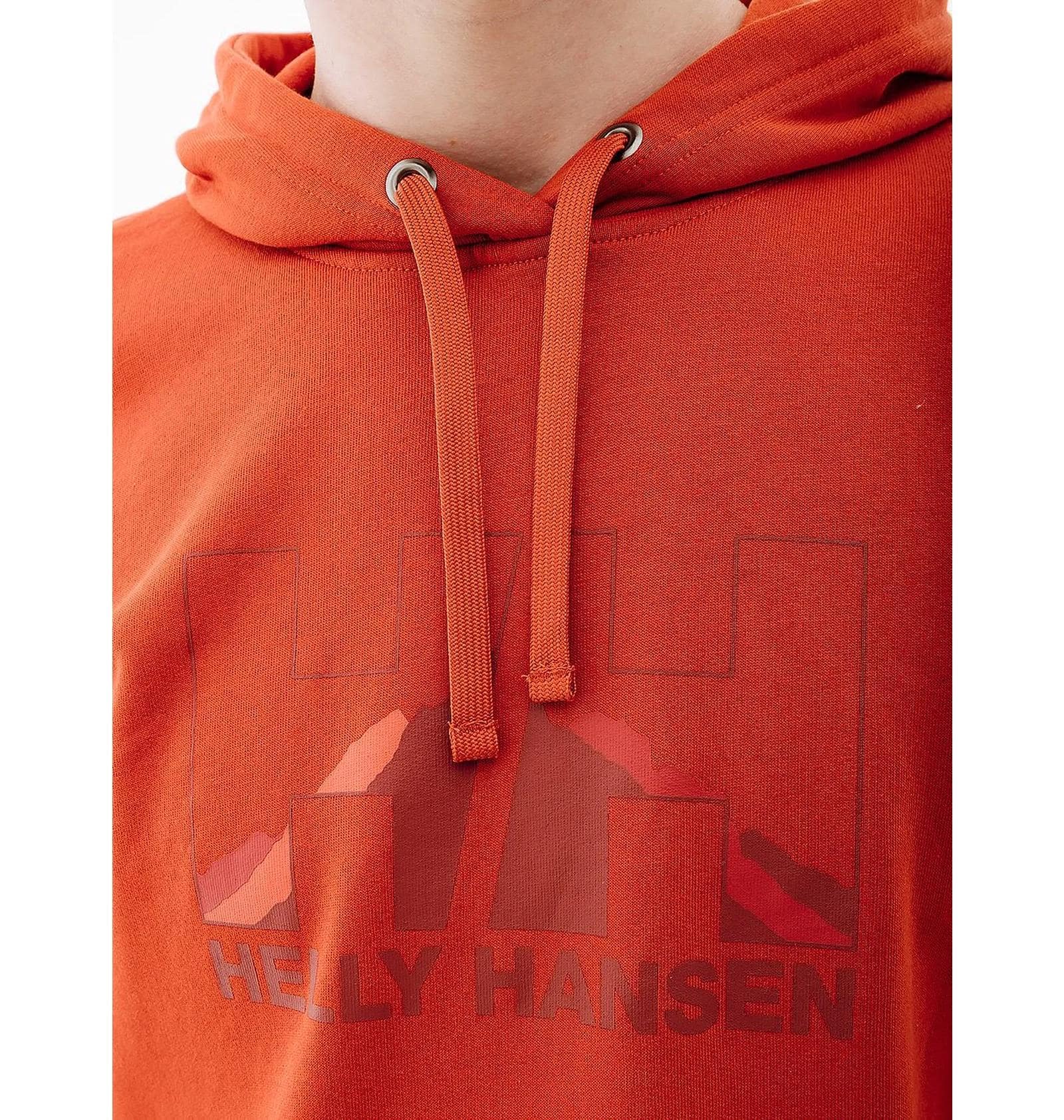 Кофта чоловіча Helly Hansen Nord Graphic (62975-308) — фото 4