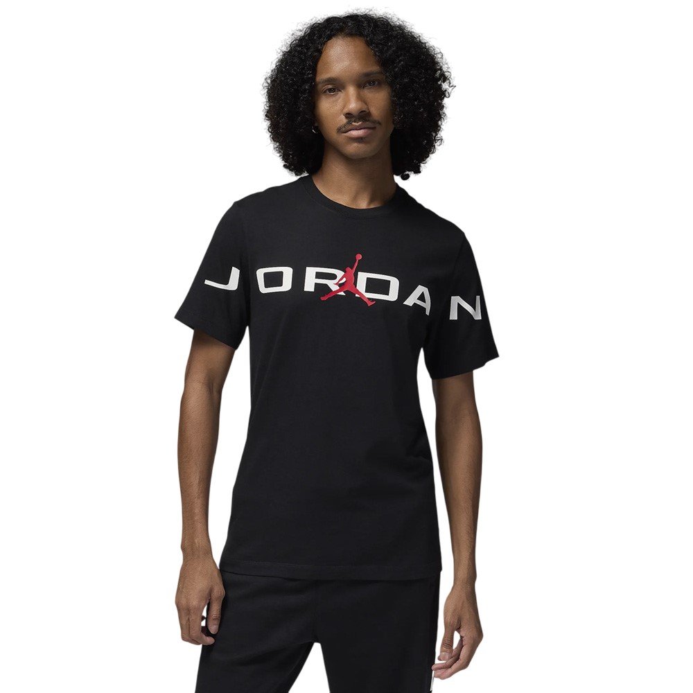 Футболка чоловіча Jordan T-Shirt (HJ2358-010) — фото 6