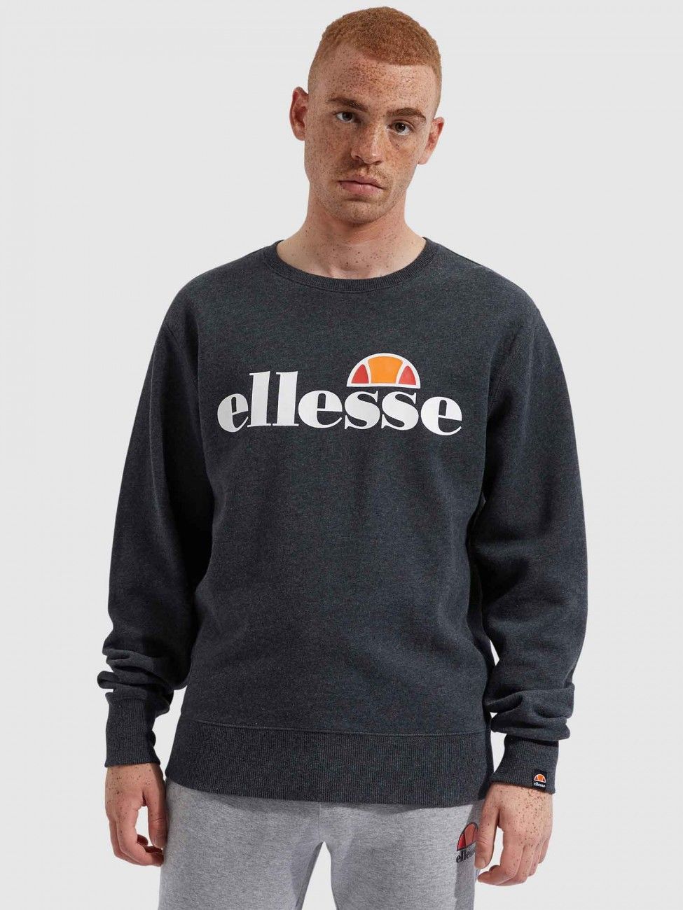 Кофта чоловіча Ellesse Sl Succiso Sweatshirt (SHC07930-106) — фото 1