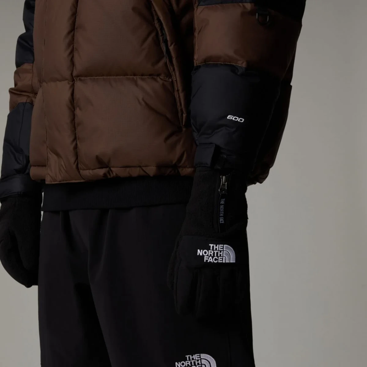 Рукавички DENALI ETIP GLOVE 0A888SJK31 THE NORTH FACE L Чорний — фото 7