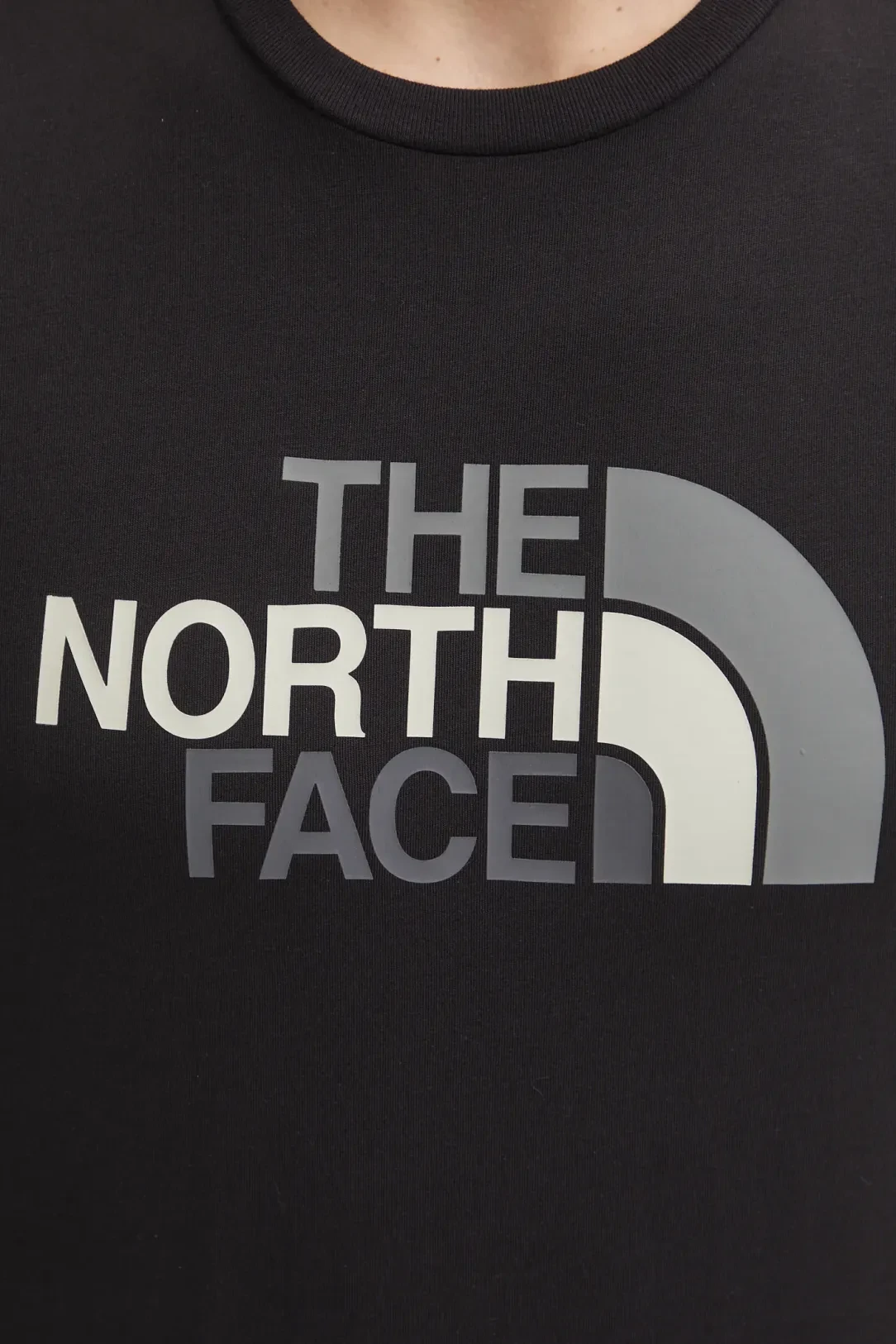 Футболка чоловіча The North Face Easy Tee Tnf Black (0A8A6CJK31) — фото 5