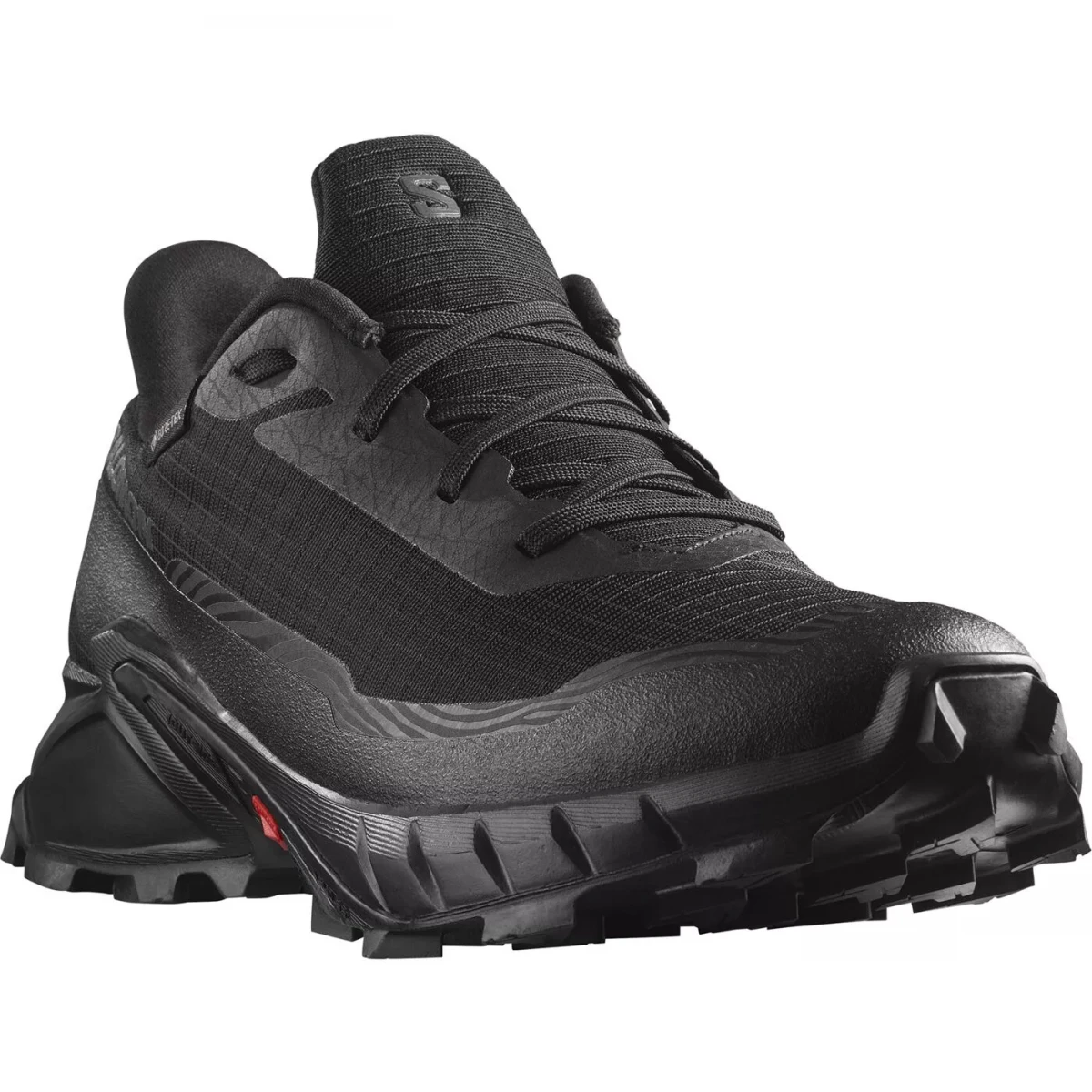 Кросівки чоловічі Salomon Alphacross 5 Gore-Tex (L47307500) — фото 1