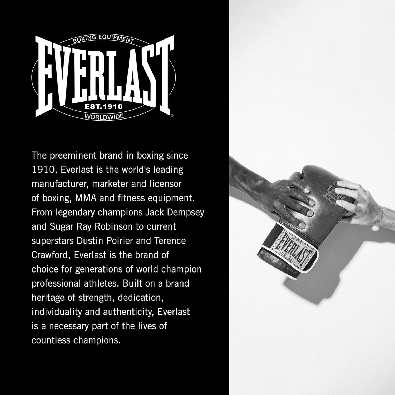 Боксерські рукавиці Everlast 1910 Classic Training Glove (P00002501) — фото 9