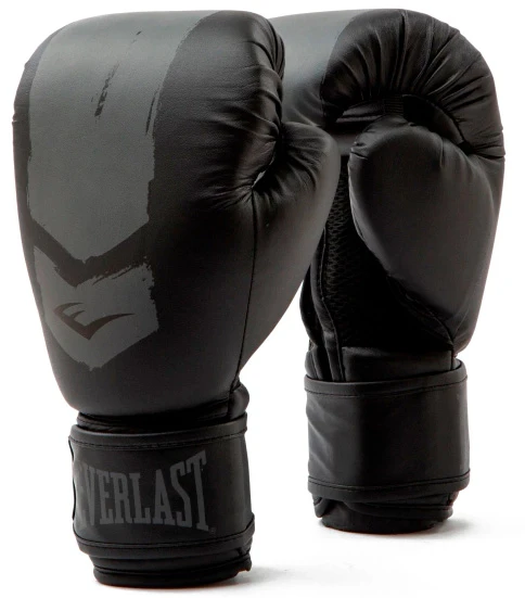 Боксерські рукавиці Everlast Prospect 2 Boxing Glove (P00002971) — фото 1