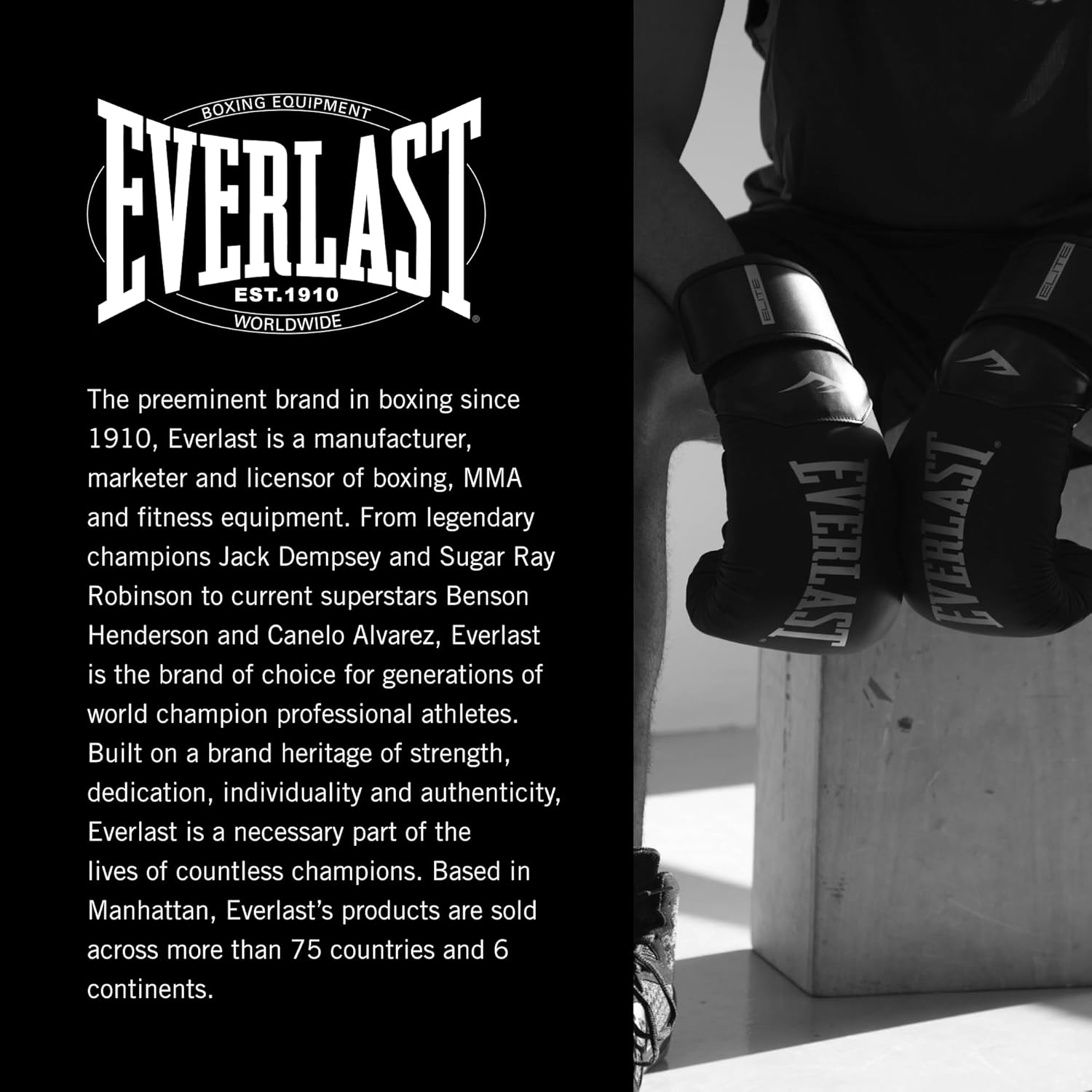 Боксерські рукавиці Everlast Prostyle 2 Boxing Glove (P00003084) — фото 9