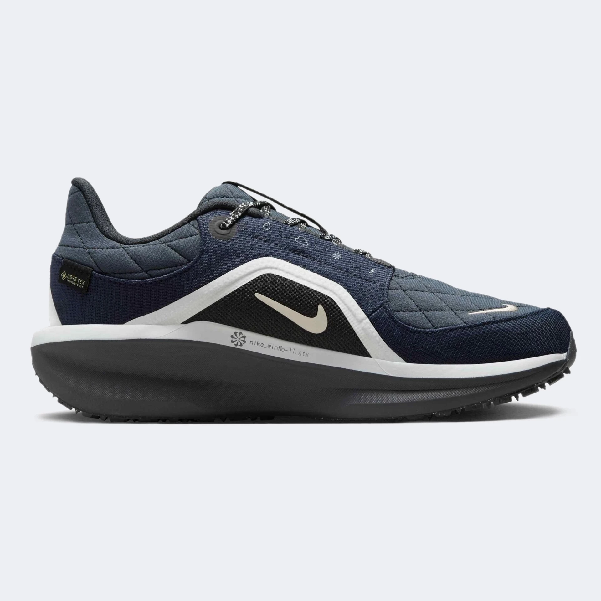 Кросівки жіночі Nike Air Winflo 11 Gtx (FQ1359-400) — фото 1