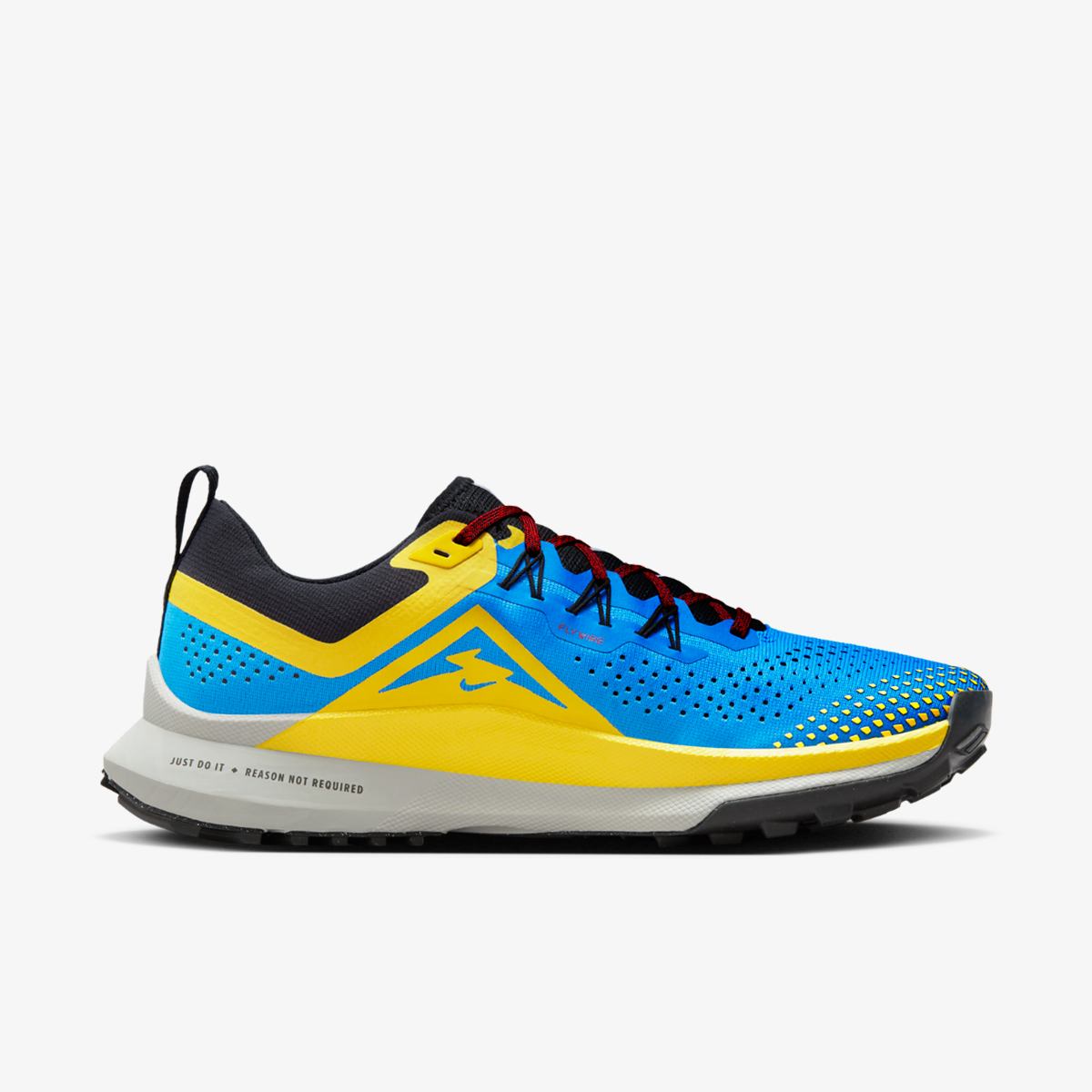 Кросівки для бігу чоловічі Nike Pegasus Trail (DJ6158-401) — фото 1
