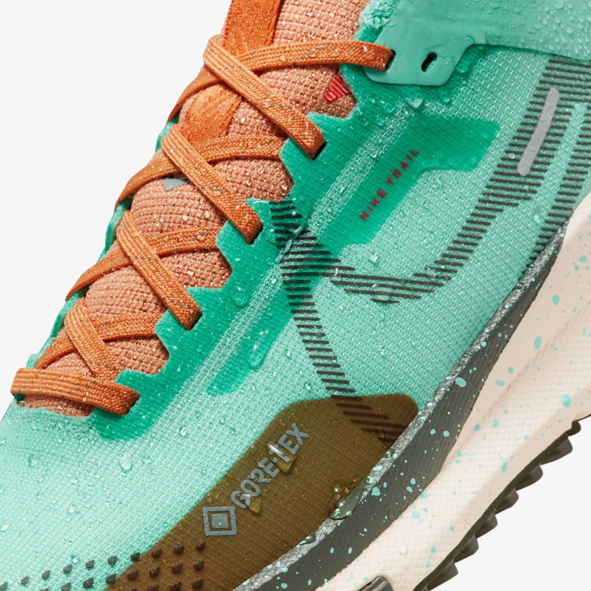 Кросівки для бігу жіночі Nike Pegasus Trail 4 Gore-Tex (DJ7929-301) — фото 10