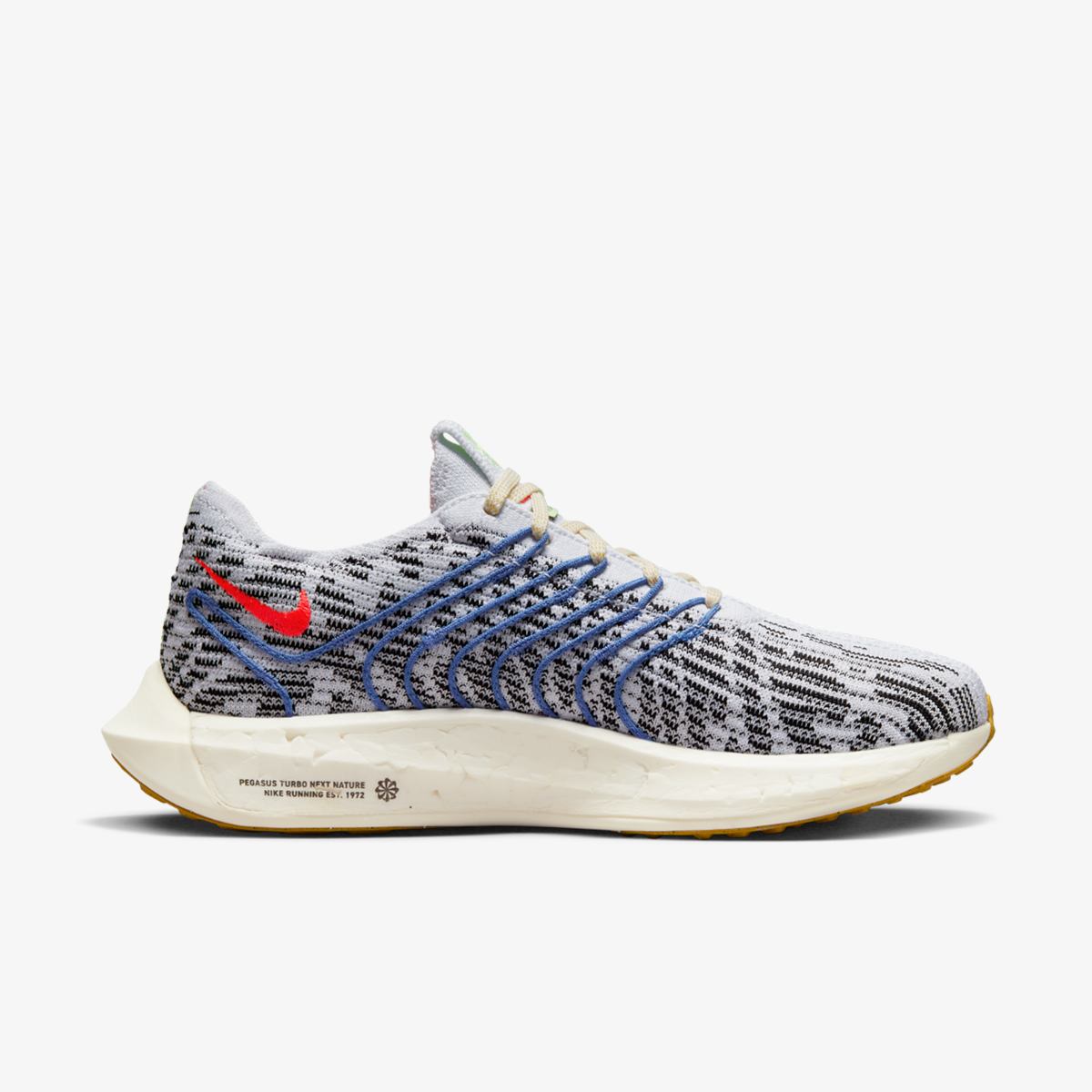 Кросівки для бігу жіночі Nike Pegasus Turbo Next Nature (DM3414-002) — фото 1