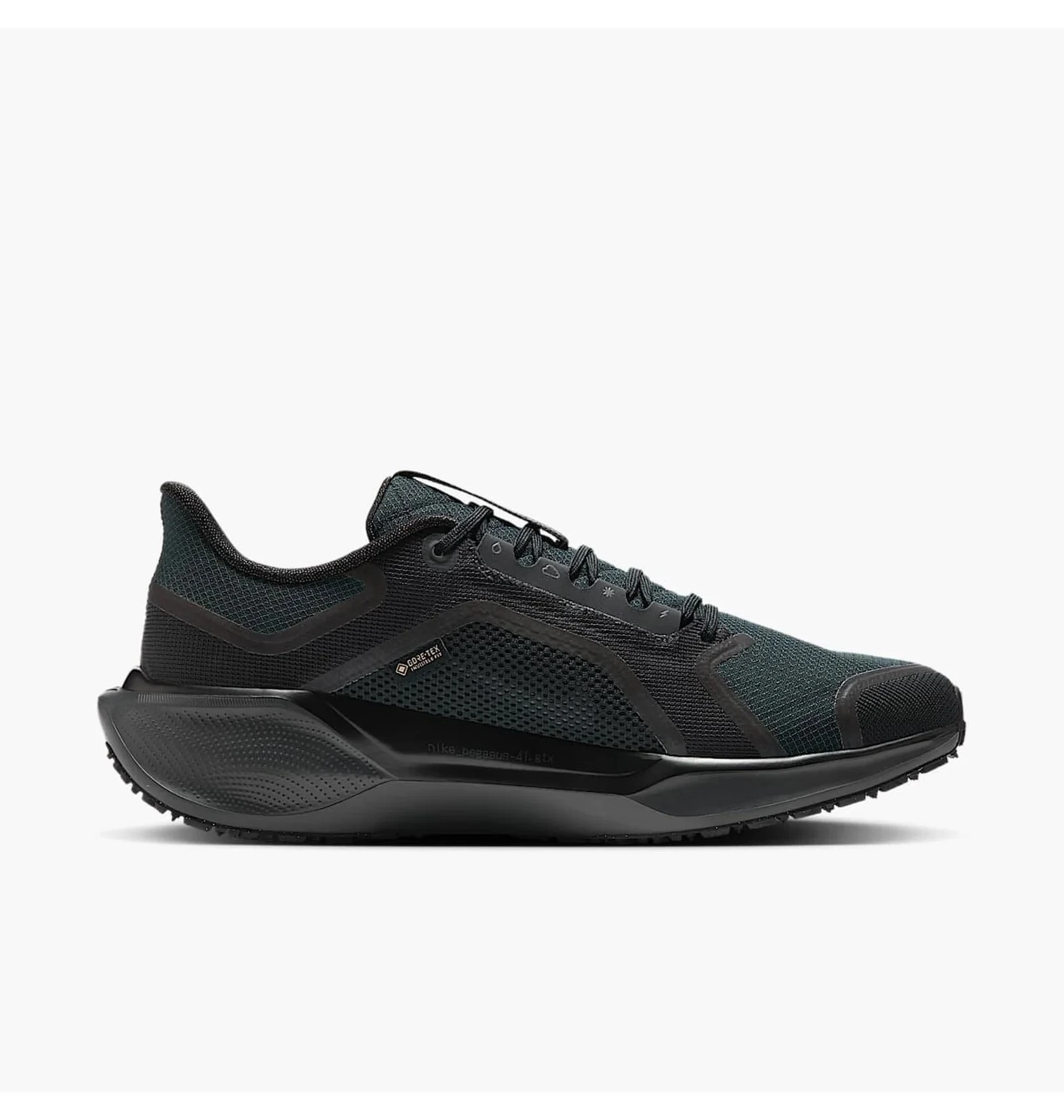 Кросівки для бігу чоловічі Nike Air Zoom Pegasus 41 Gore-Tex (FQ1356-001) — фото 1