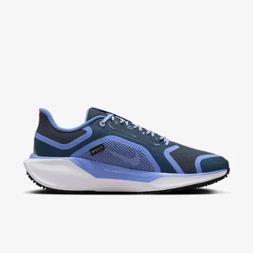 Кросівки для бігу жіночі Nike Pegasus 41 Gtx (FQ1357-400) — фото 1