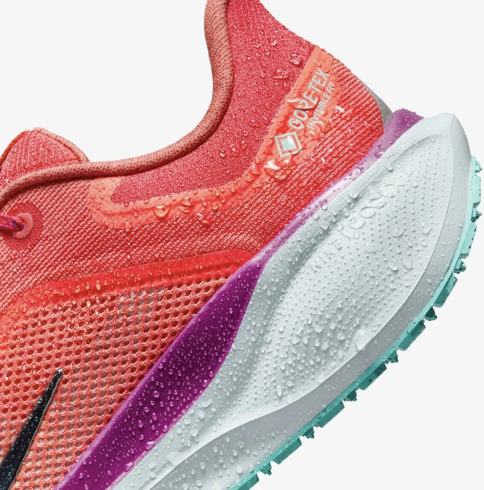 Кросівки чоловічі Nike Air Zoom Pegasus 41 Gtx (HM8872-600) — фото 10