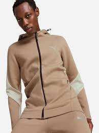 Спортивний костюм чоловічий Puma Evo Stripe Full Zip Hoodie (681700-67_681702-67) — фото 1