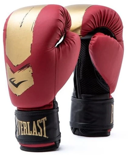 Боксерські рукавиці Everlast Prospect 2 Boxing Glove (P00002973) — фото 1