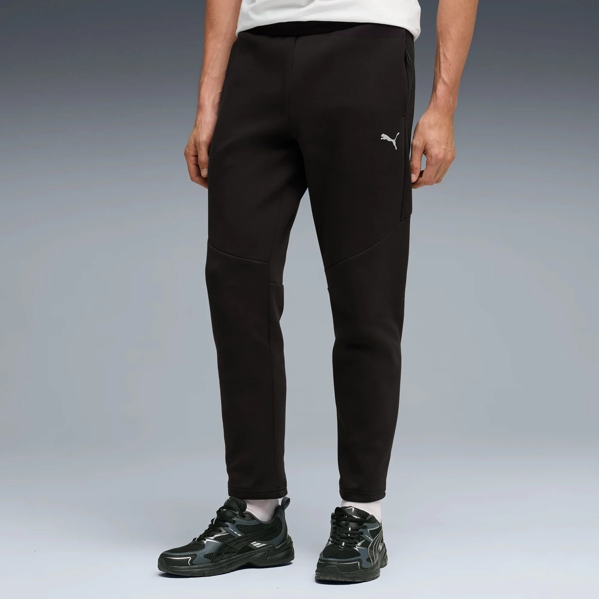 Спортивні штани EVOSTRIPE Pants 69219101 Puma L Чорний — фото 1