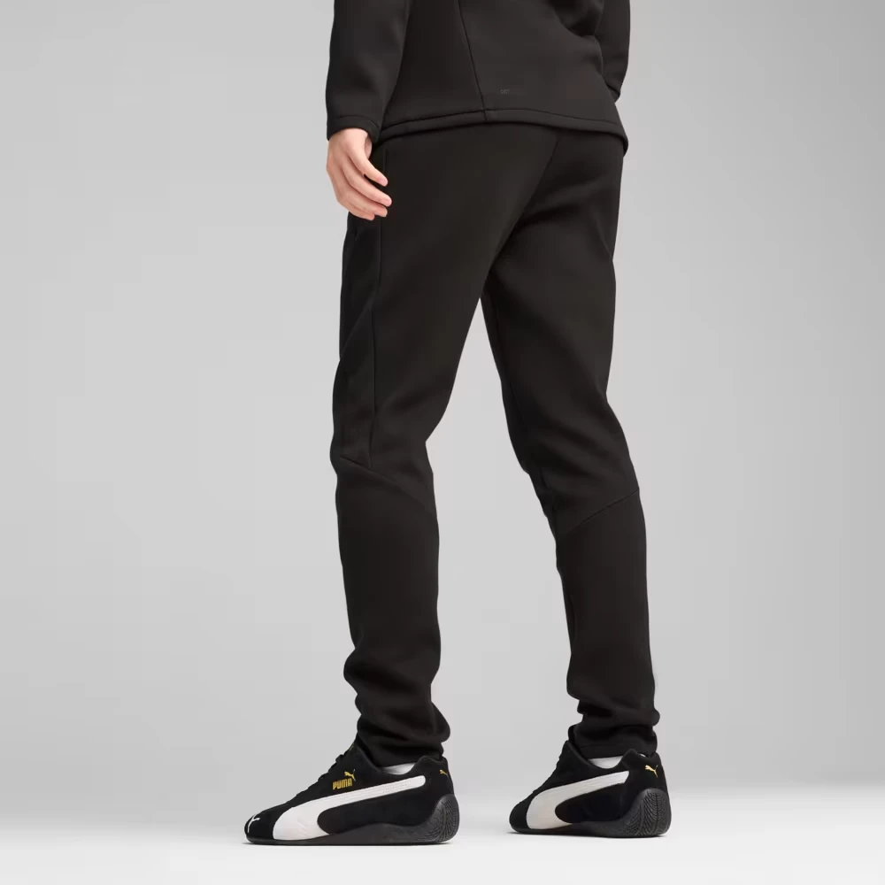 Брюки чоловічі Puma Evostripe Core Pants (63153301) — фото 3