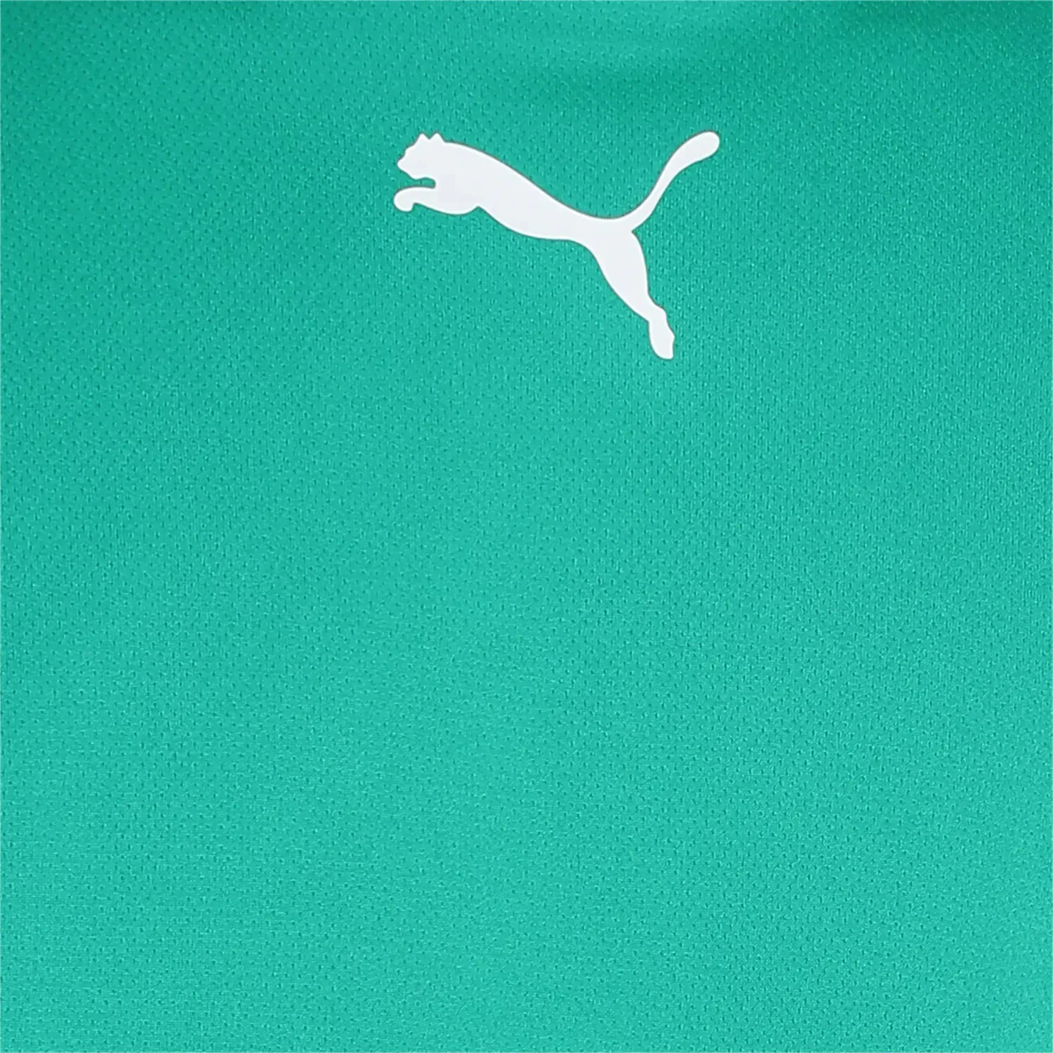 Футболка Puma teamRISE Jersey — фото 6