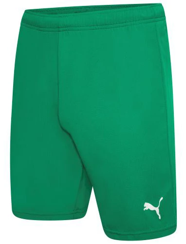 Шорти Puma teamRISE Short — фото 1