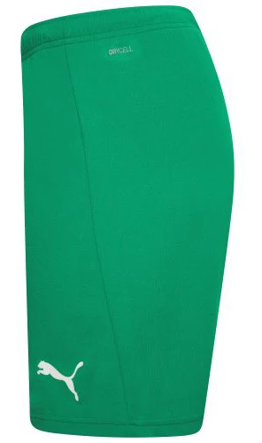 Шорти Puma teamRISE Short — фото 6