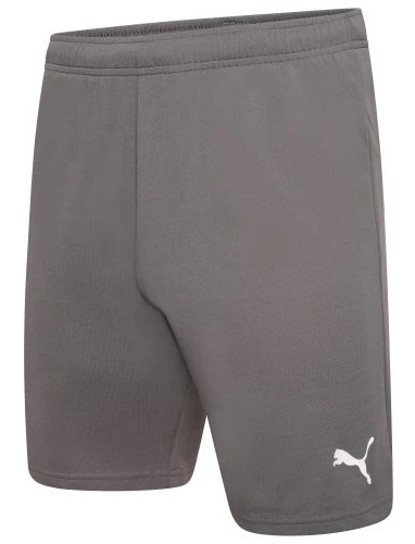 Шорти чоловічі Puma Teamrise Short (704942-13) — фото 1