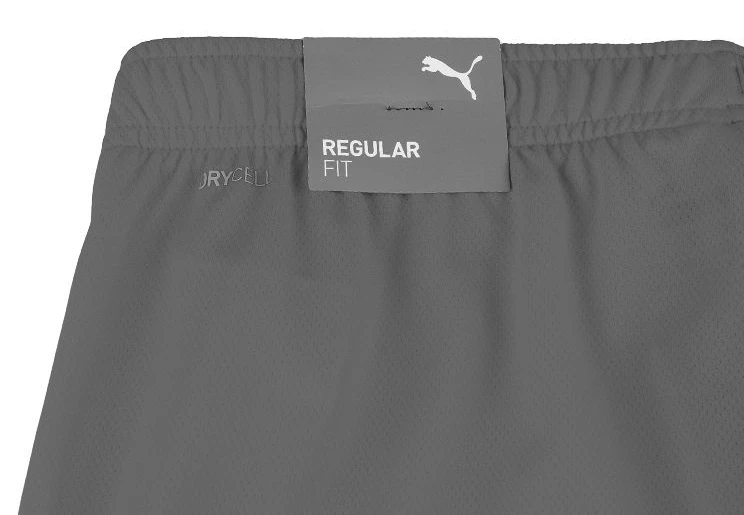 Шорти Puma teamRISE Short — фото 4