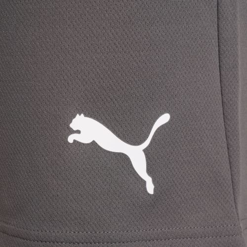 Шорти Puma teamRISE Short — фото 6